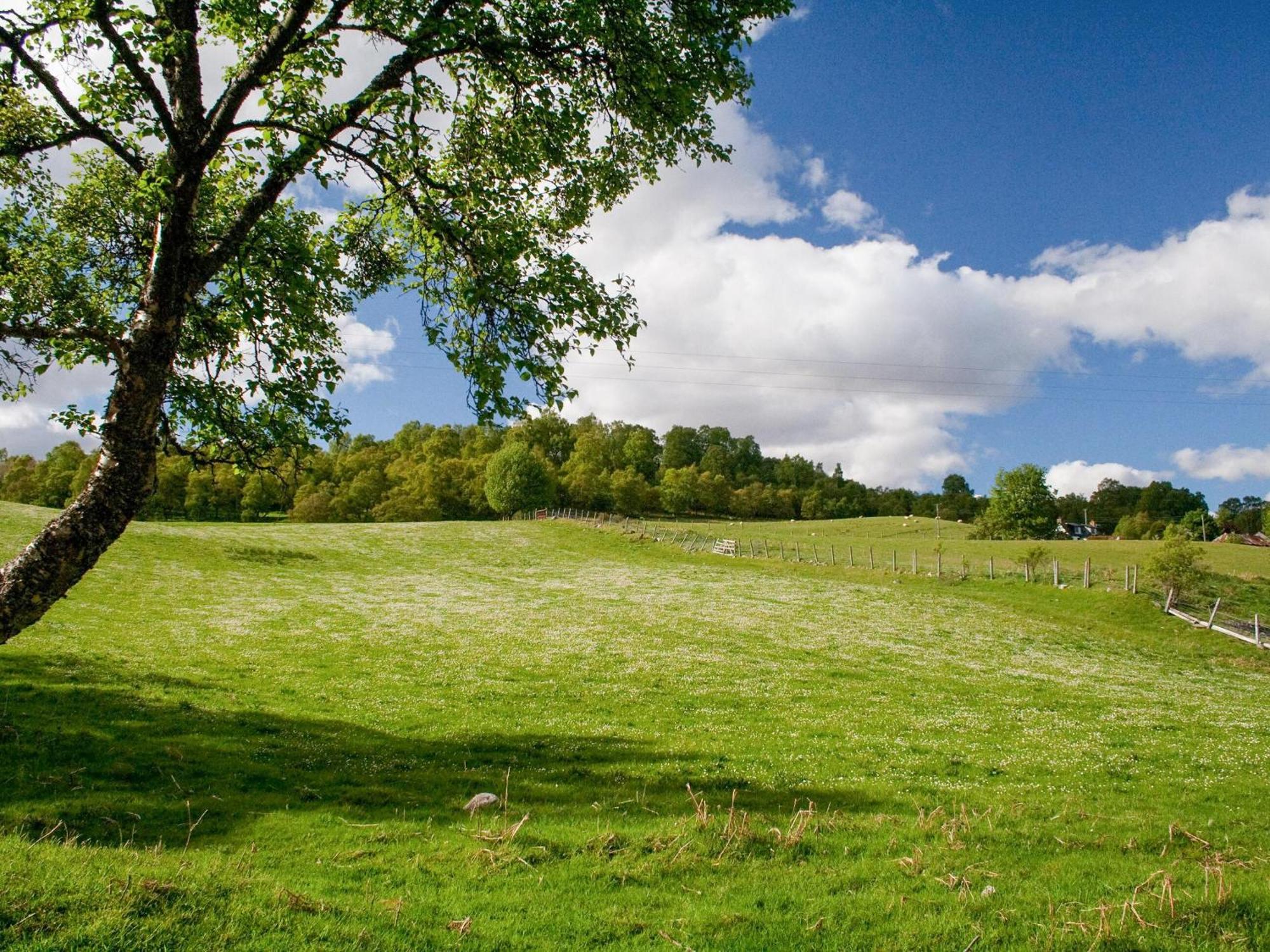 Treetops Newtonmore Dış mekan fotoğraf